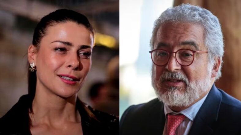 luis hermosilla tonka tomicic