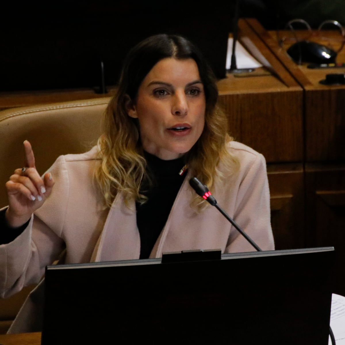 Maite Orsini ausente del Congreso por dos meses Maite Orsini ausente del Congreso por dos meses