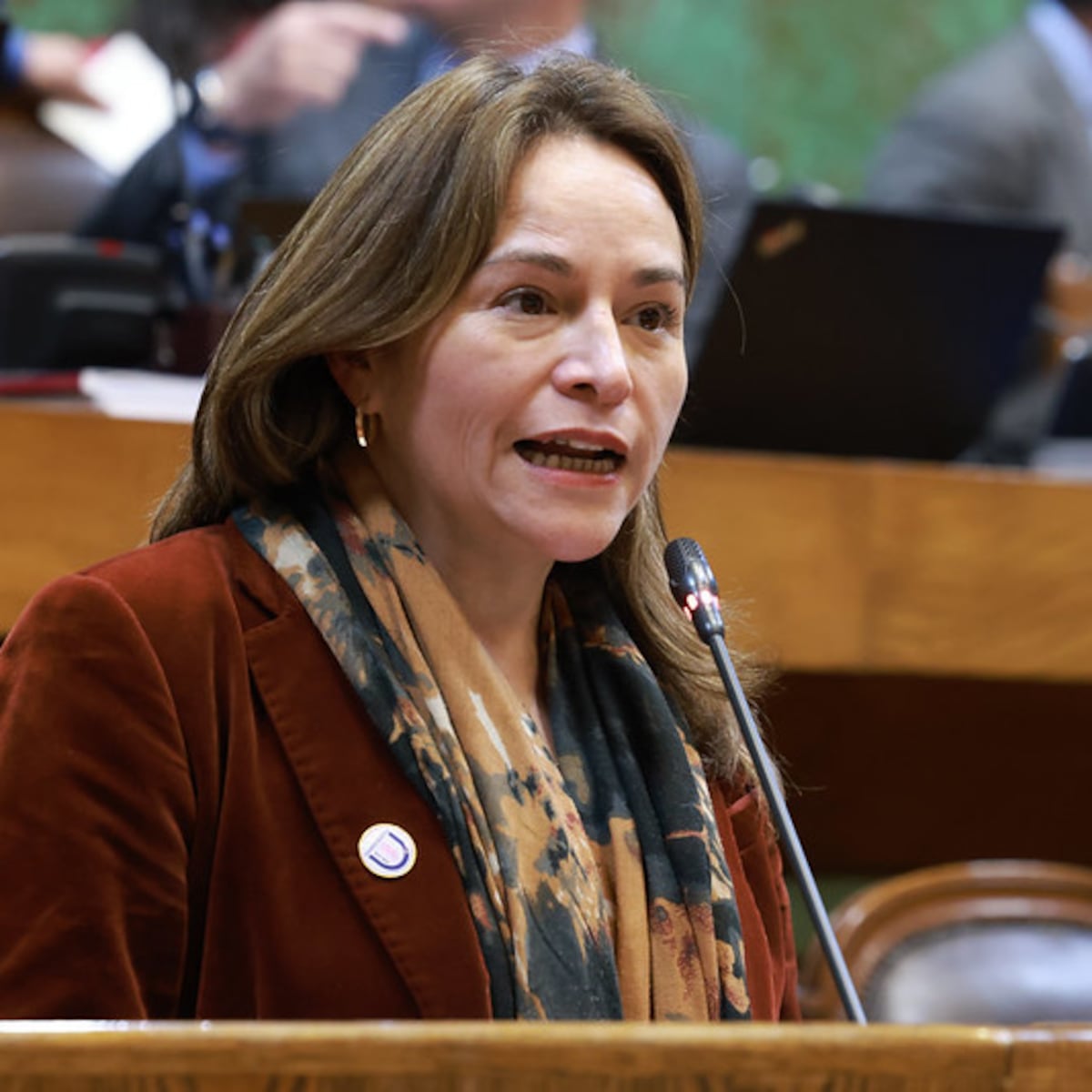 Diputados aprueban multa por no votar en Chile Diputados aprueban multa por no votar en Chile