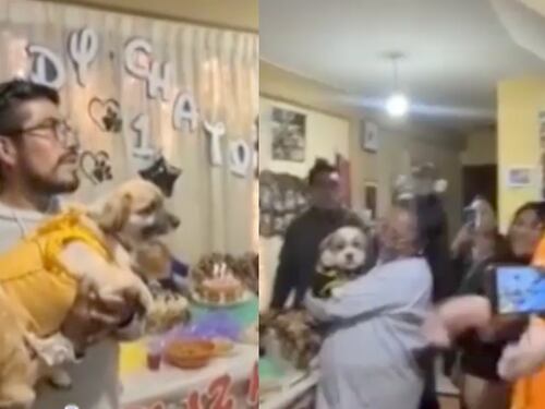 ¡Con todo y payasos! Así festejó un perrito su cumpleaños en familia perruna