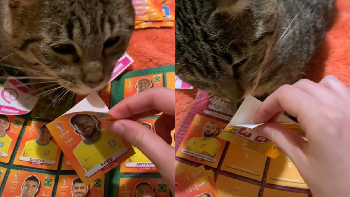 El video se volvió viral