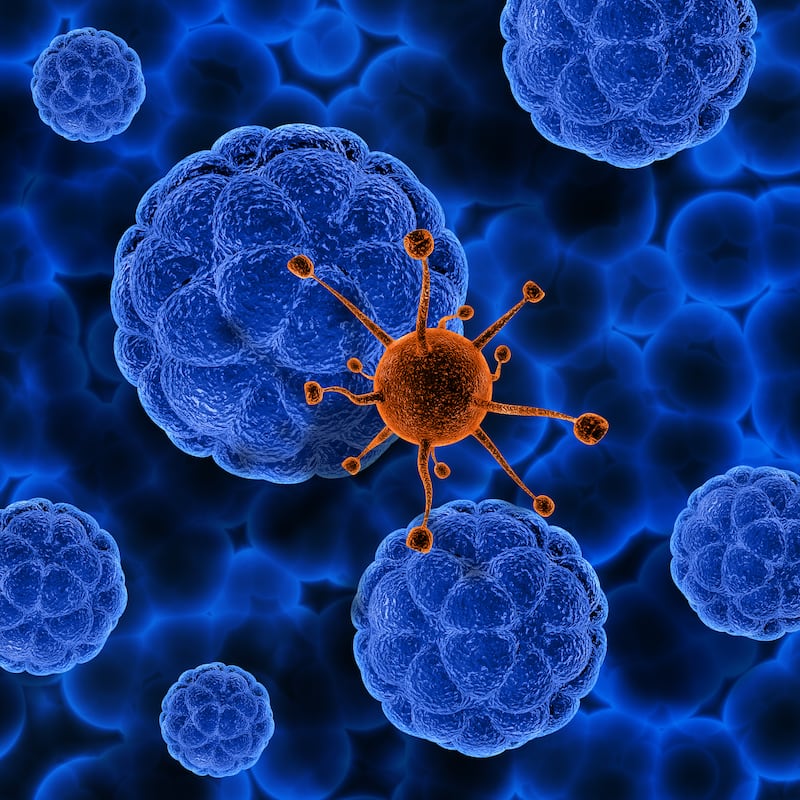 Investigadores identificaron una debilidad que podría permitir desarrollar tratamientos capaces de eliminar las células dañadas de manera selectiva. Foto: Magnific.
