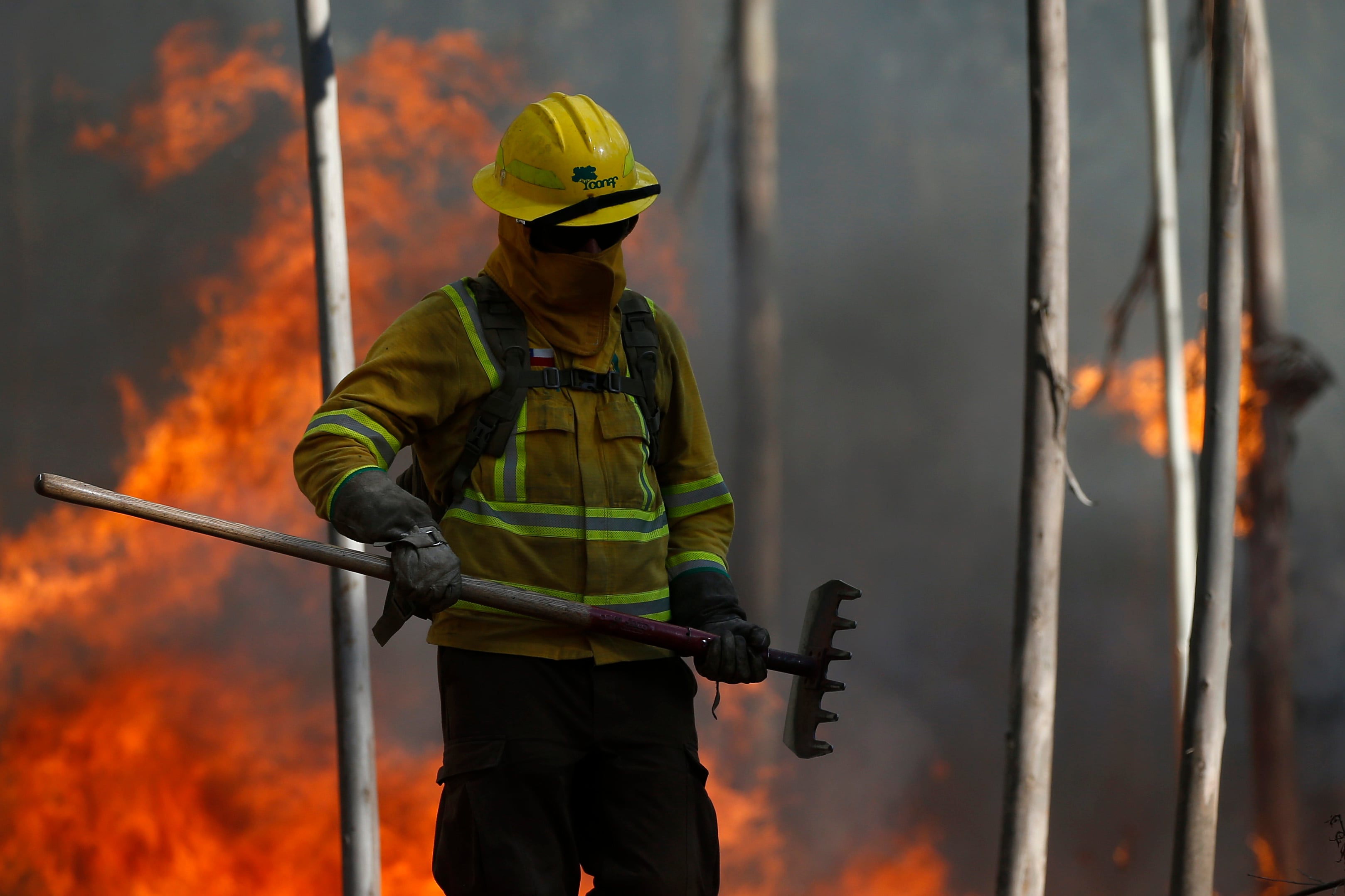 Región de Valparaíso: Decretan Alerta Amarilla en Panquehue por voraz incendio