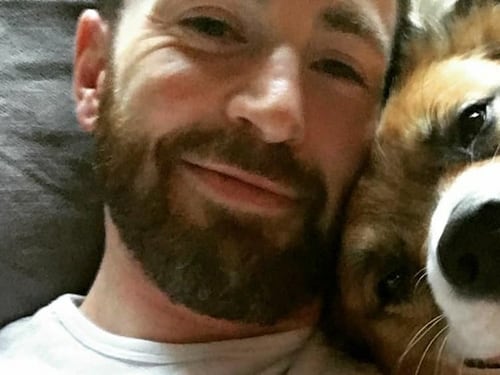 Chris Evans comparte fotos con su mascota y demuestra que tiene una personalidad bondadosa