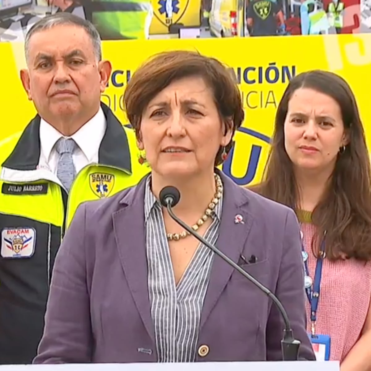 Ministra de Salud evalúa adelantar alerta por H3N2 en Chile Ministra de Salud evalúa adelantar alerta por H3N2 en Chile