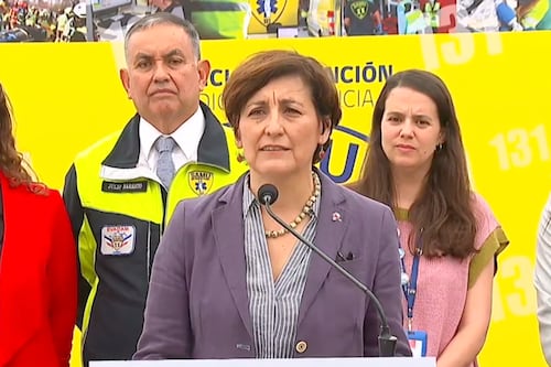 “Probablemente ya está circulando en Chile la H3N2″: ministra de Salud aseguró que se evalúa adelantar la alerta sanitaria por la gripe