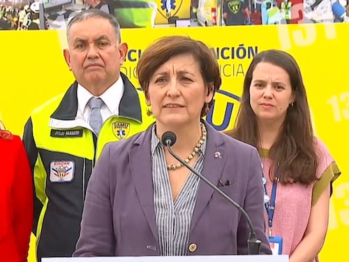 “Probablemente ya está circulando en Chile la H3N2″: ministra de Salud aseguró que se evalúa adelantar la alerta sanitaria por la gripe