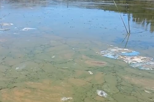 Gobierno iniciará elaboración de normas ambientales para proteger las aguas del Lago Vichuquén