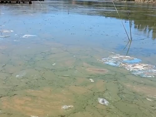 Gobierno iniciará elaboración de normas ambientales para proteger las aguas del Lago Vichuquén