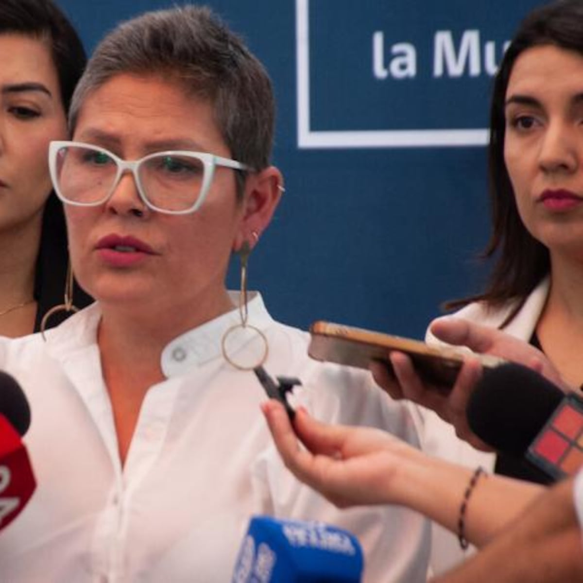 Priscilla Carrasco revela falta de consideración del Gobierno en solicitud de renuncia al Sernameg Priscilla Carrasco revela falta de consideración del Gobierno en solicitud de renuncia al Sernameg