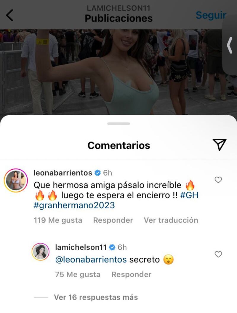 Comentario de Adriana Barrientos a Ignacia Michelson en Instagram | Fuente: Twitter