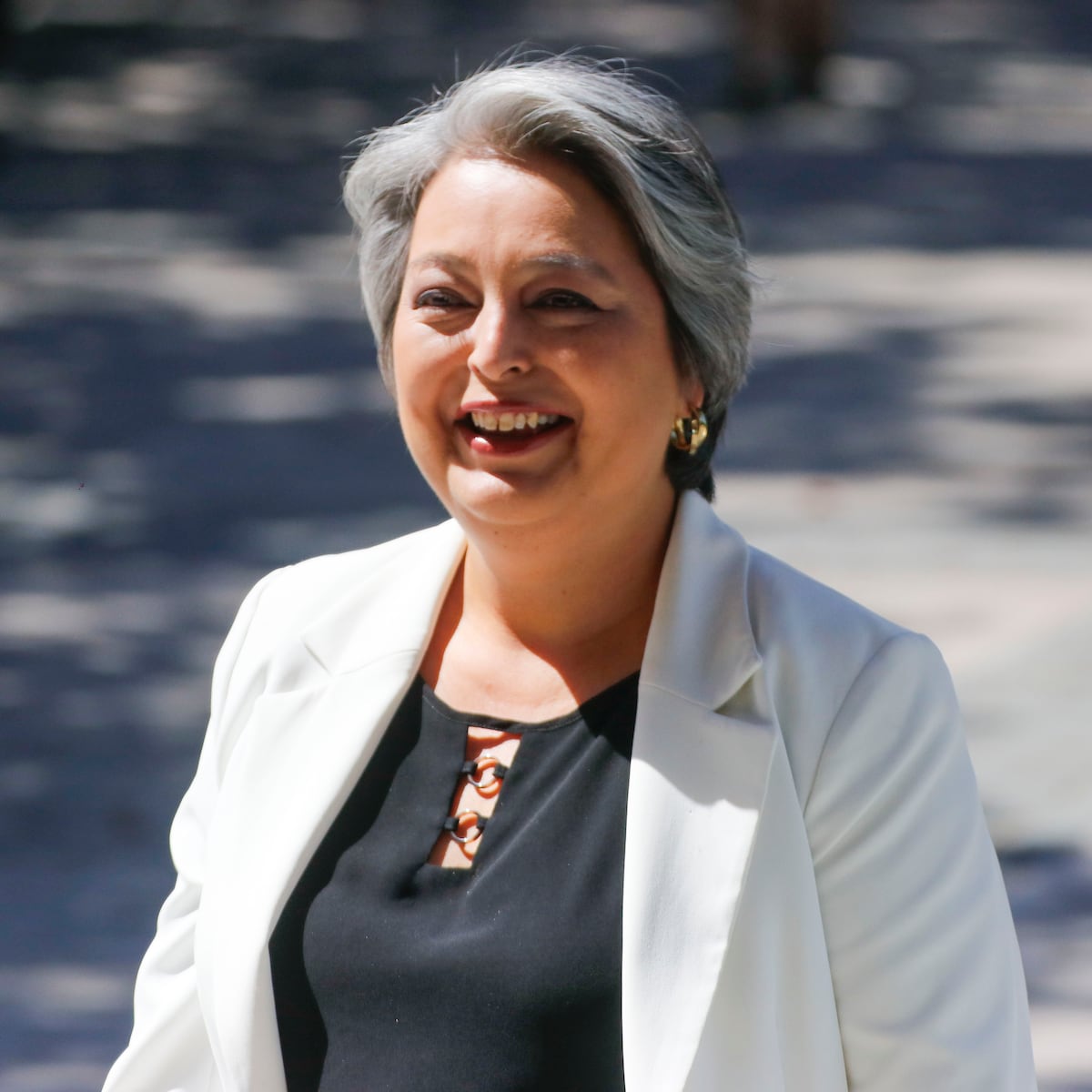 Polémica entre ministra Jeannette Jara y diputado Luis Cuello por fin de las AFP Polémica entre ministra Jeannette Jara y diputado Luis Cuello por fin de las AFP
