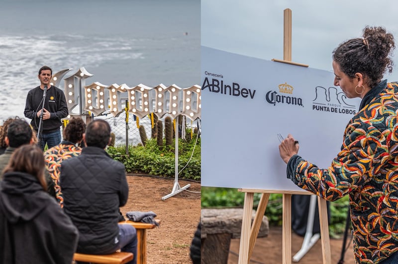 Conservación / Pichilemu