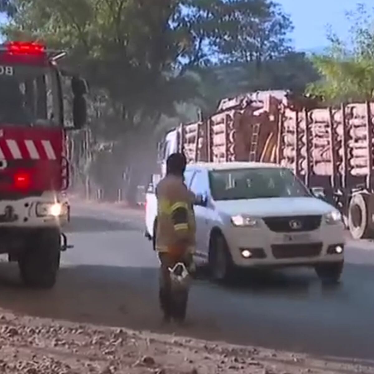 Intensos incendios forestales obligan evacuación en Purén Intensos incendios forestales obligan evacuación en Purén