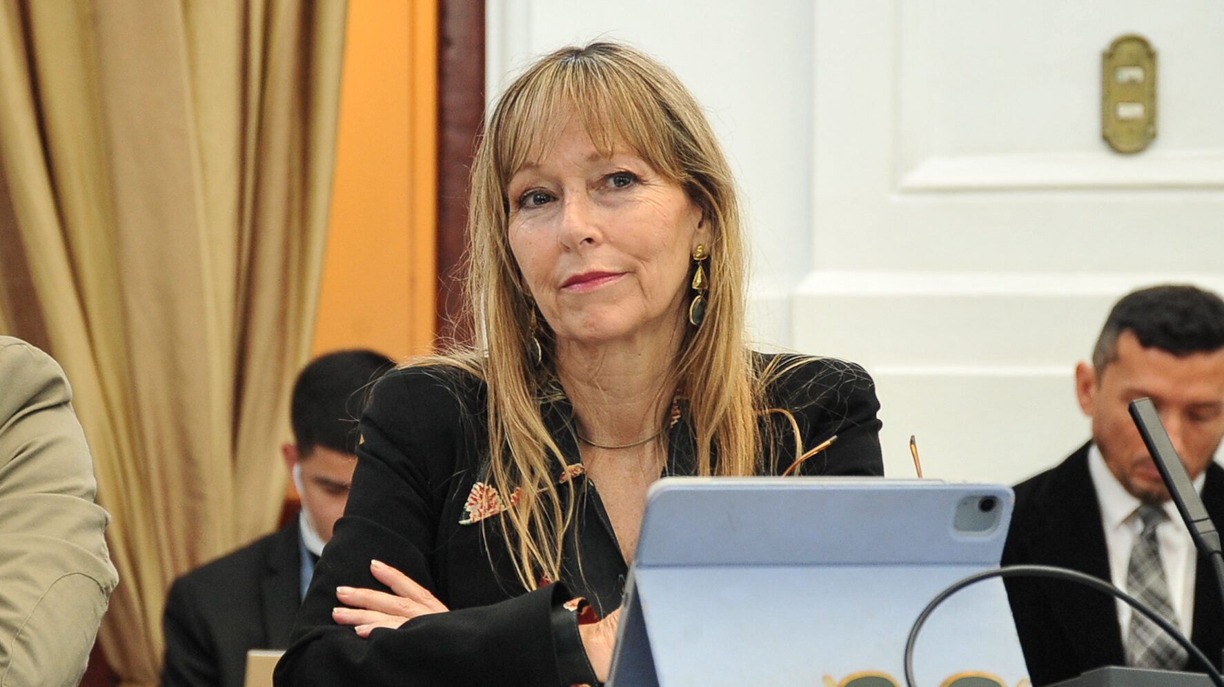 Diputada Ana María Gazmuri | FOTO: VICTOR HUENANTE / AGENCIAUNO