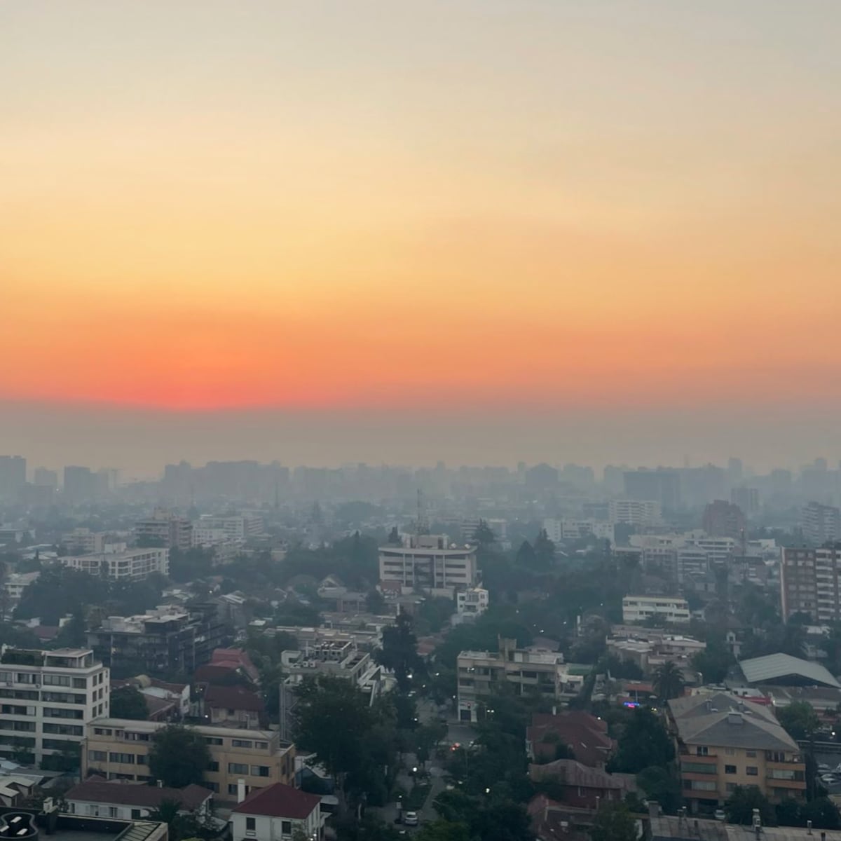Incendio forestal en San Pedro de Melipilla: Minsal pide extremar cuidados Incendio forestal en San Pedro de Melipilla: Minsal pide extremar cuidados