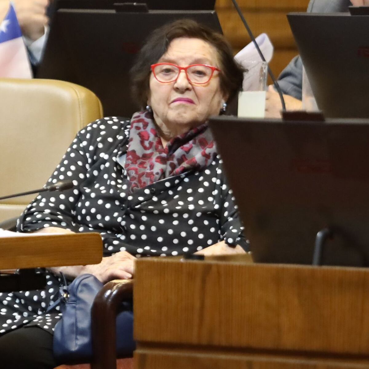 Diputada pide medidas urgentes contra venta de comida callejera Diputada pide medidas urgentes contra venta de comida callejera