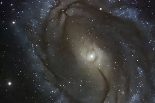 Científicos en Chile crean algoritmo capaz de clasificar millones de galaxias con precisión récord