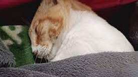 Foto web/ Valparaíso Informa