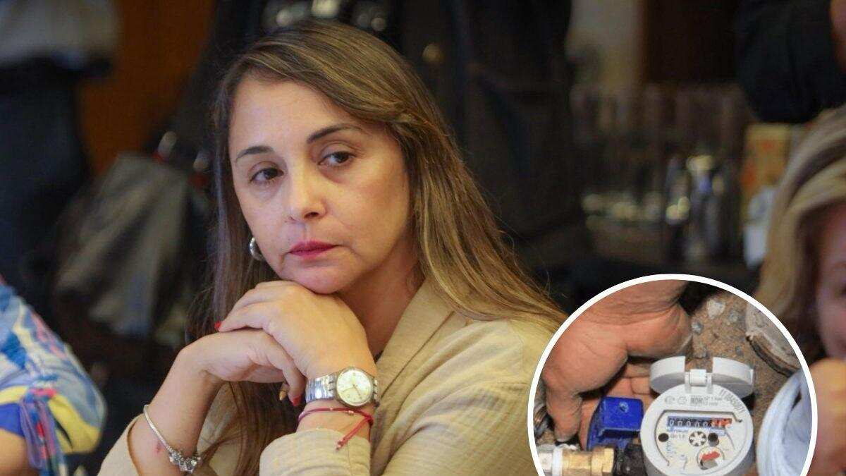 Diputada Carla Morales