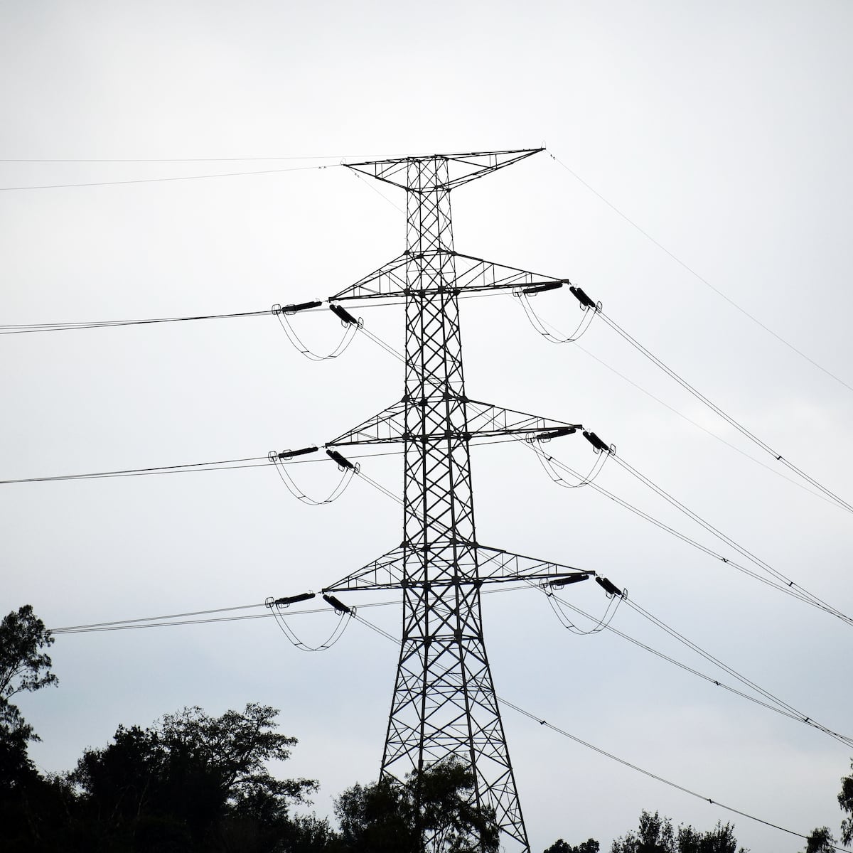 Explosivos detectados en torre de alta tensión en Victoria Explosivos detectados en torre de alta tensión en Victoria