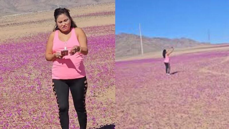 “¿Y a mí qué?”: Viralizan a imprudente mujer que pisó flores del Desierto Florido para tomarse una selfie