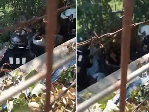 Viña del Mar: Guardias municipales golpearon a persona en situación de calle por presunto robo