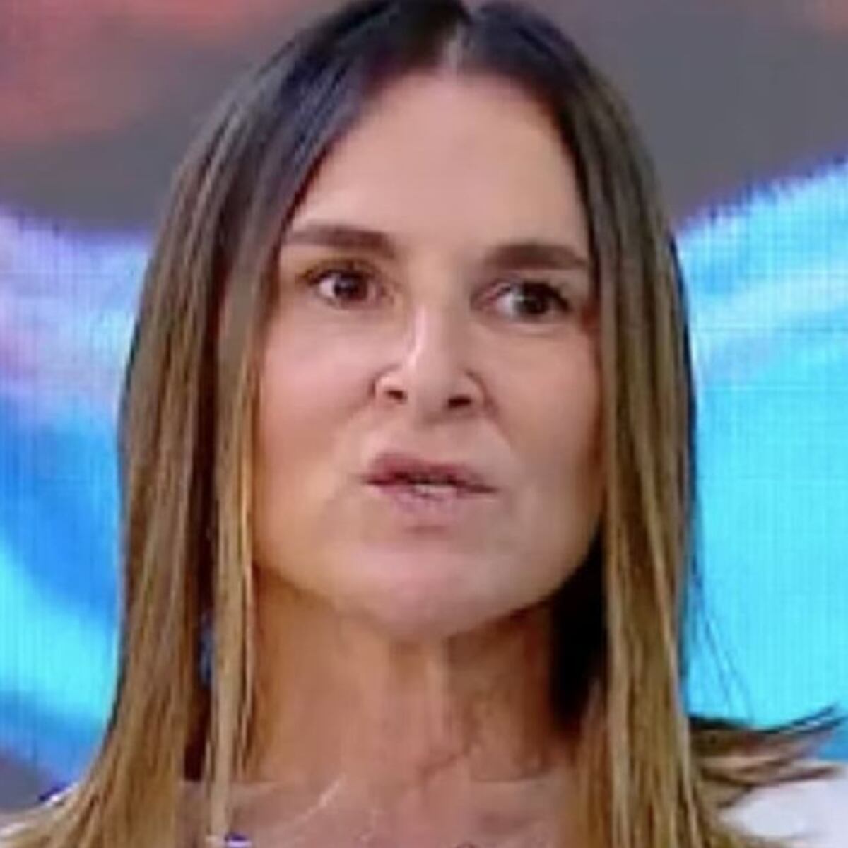 Mega impugna fallo por despido de Paulina de Allende-Salazar Mega impugna fallo por despido de Paulina de Allende-Salazar