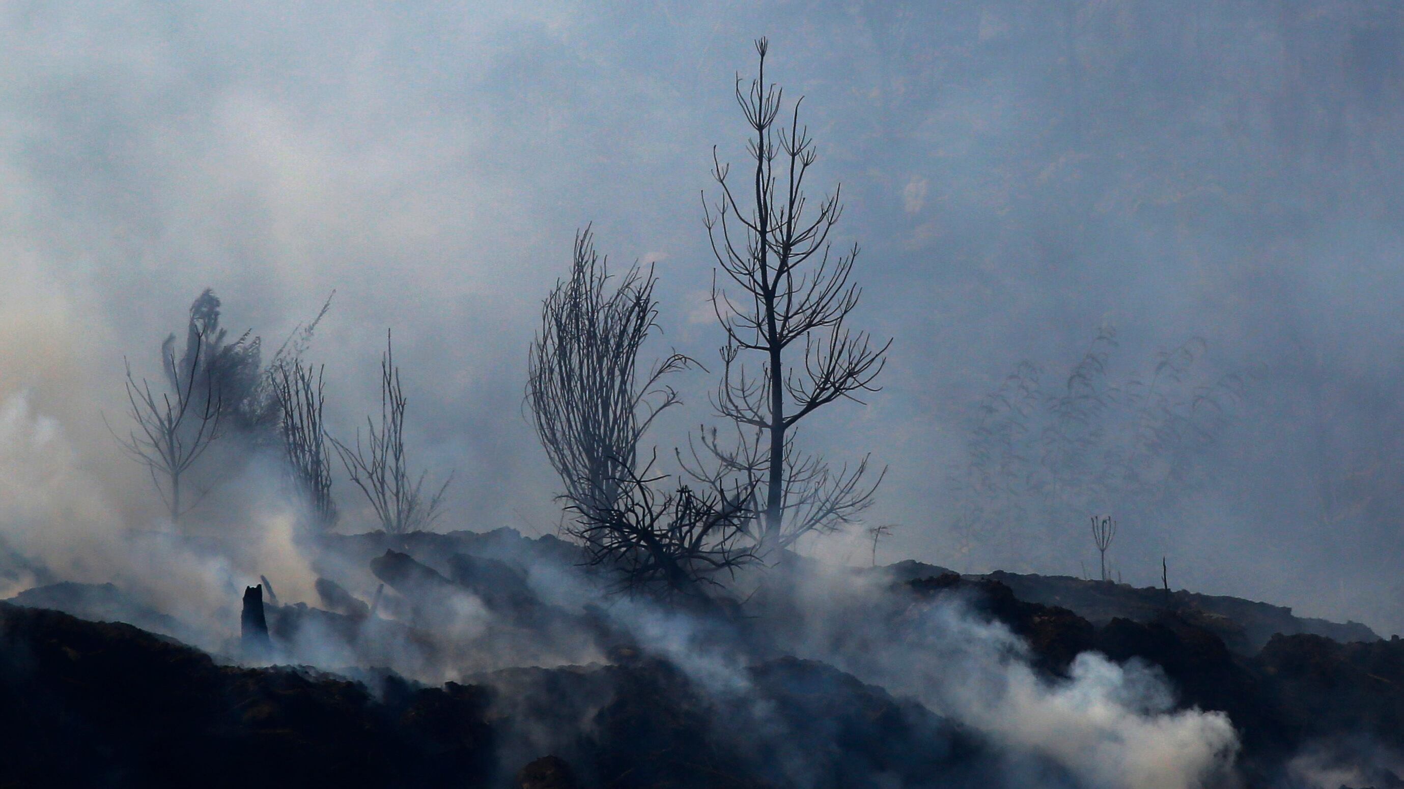 Foto de Agencia Aton Chile.