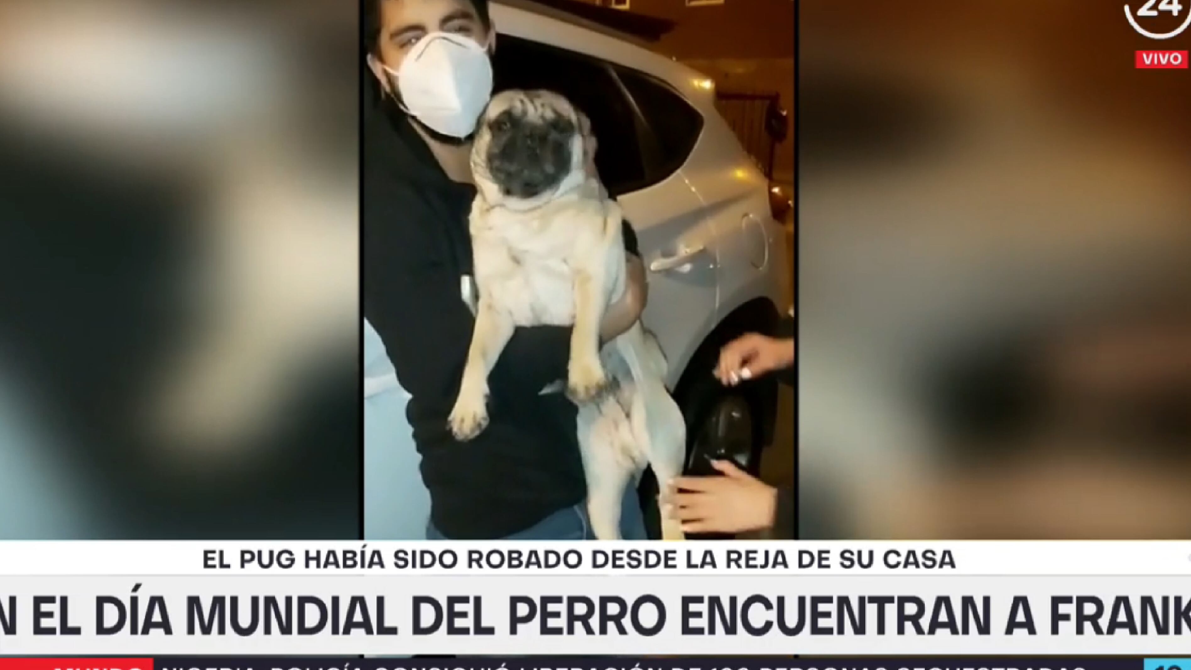 El perro Frank volvió a casa.