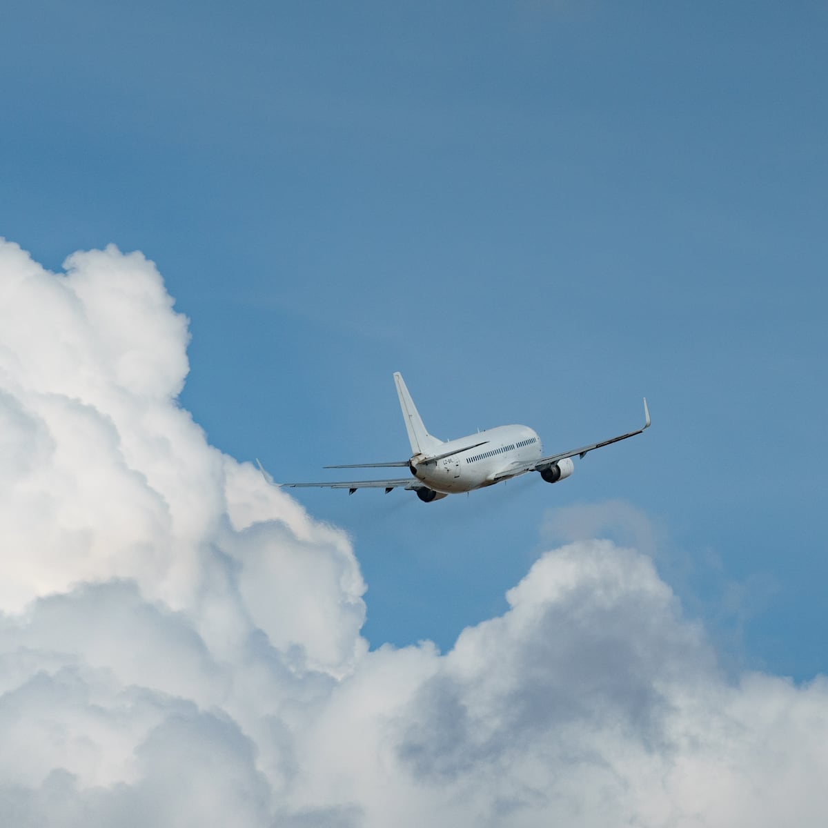 Aerolínea cancela 20 mil vuelos por falta de combustible Aerolínea cancela 20 mil vuelos por falta de combustible