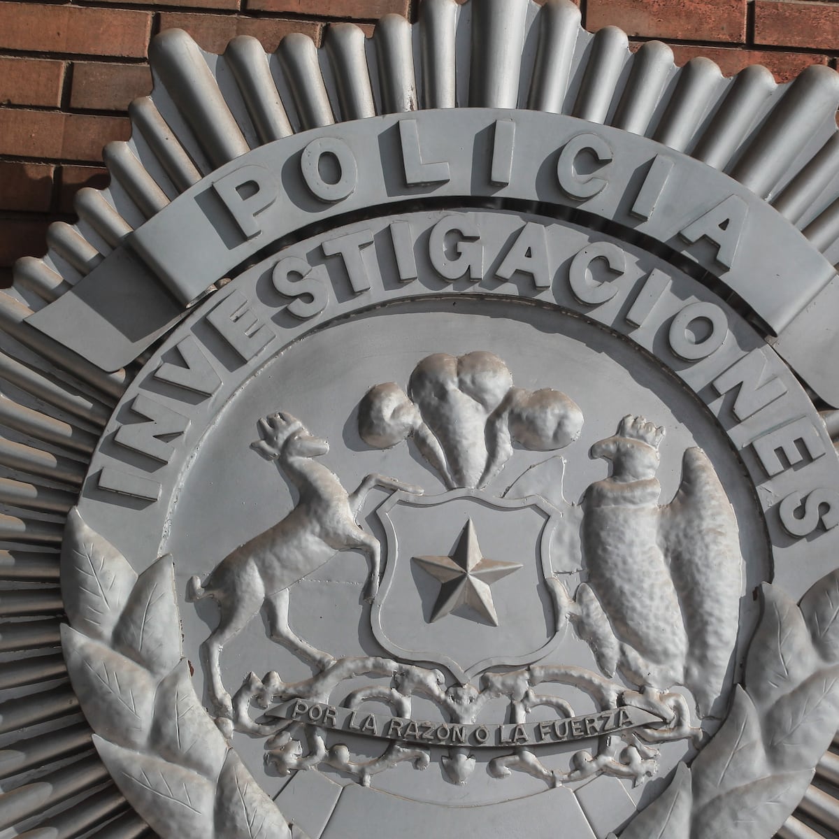 Traición familiar en Concepción: robó claves de abuela y transfirió millonaria cifra Traición familiar en Concepción: robó claves de abuela y transfirió millonaria cifra