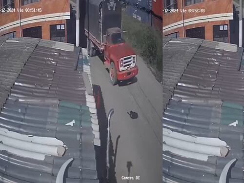 Video: indignación por un conductor que le pasa por encima a un perro con su camión