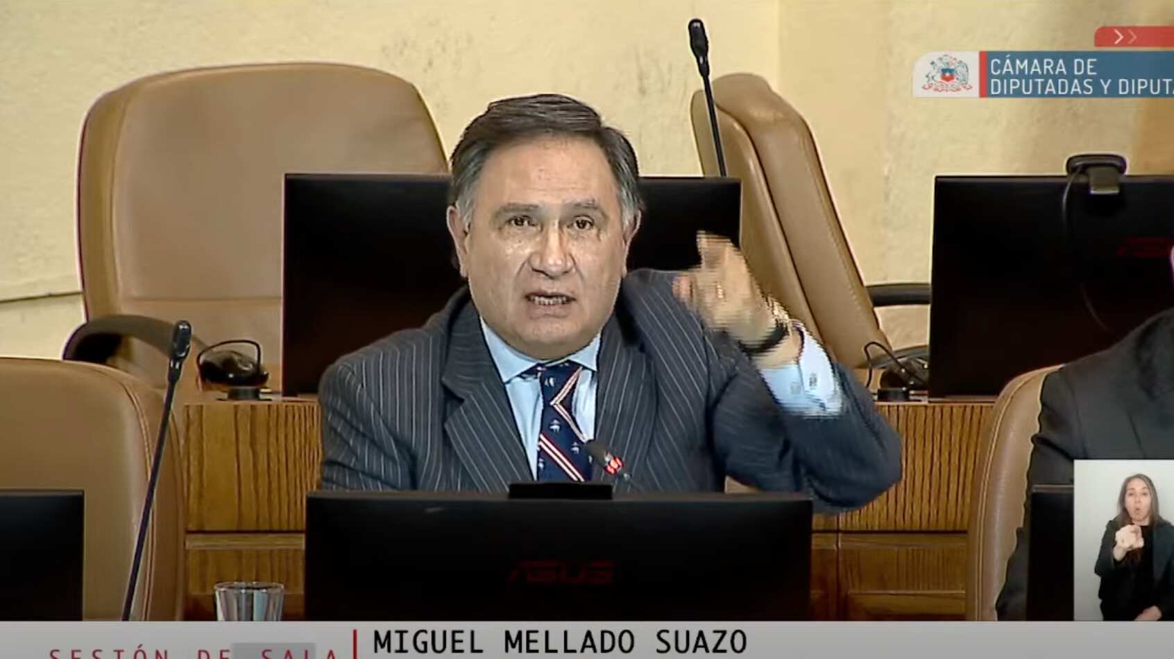 Diputado Miguel Mellado