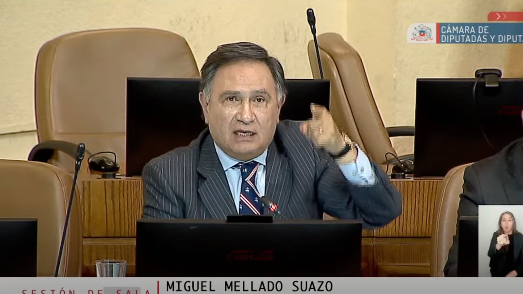 Diputado Miguel Mellado