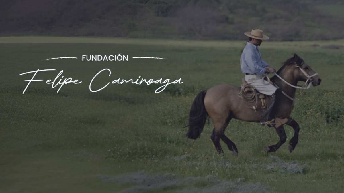 Fundación Felipe Camiroaga