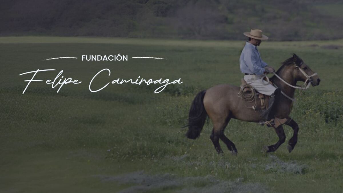 Fundación Felipe Camiroaga