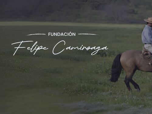 Buscan recaudar fondos para niños con TEA: Fundación Felipe Camiroaga organiza gran evento con la presencia de animadores, humoristas y cantantes