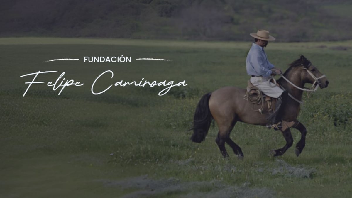 Fundación Felipe Camiroaga