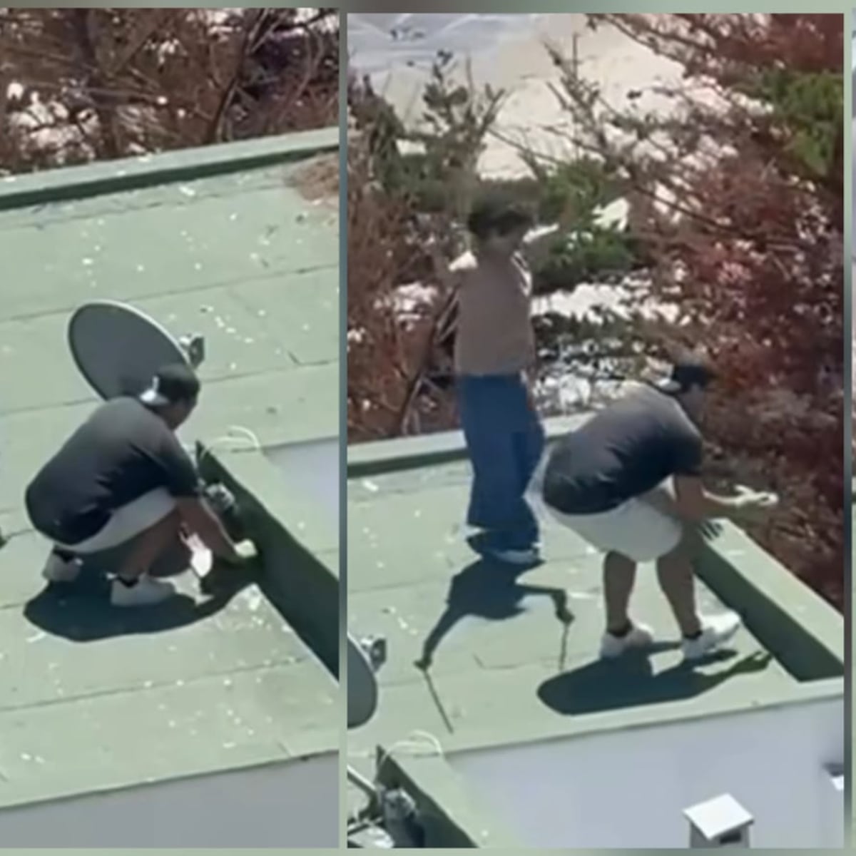 Pareja arroja polluelos de gaviota desde condominio en Maitencillo Pareja arroja polluelos de gaviota desde condominio en Maitencillo