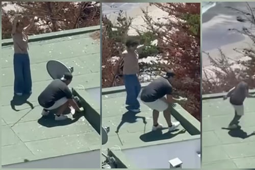Video desata furia en Chile: pareja arroja polluelos de gaviota desde un condominio en Maitencillo