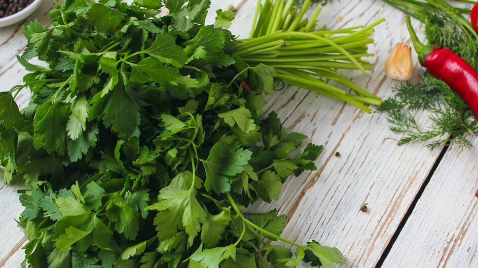 Encurtidos en mesa de madera blanca con pimientos verdes y rojos y ají, hinojo, sal, pimienta negra, ajo, guisantes, primer plano, concepto saludable, vista superior, endecha plana