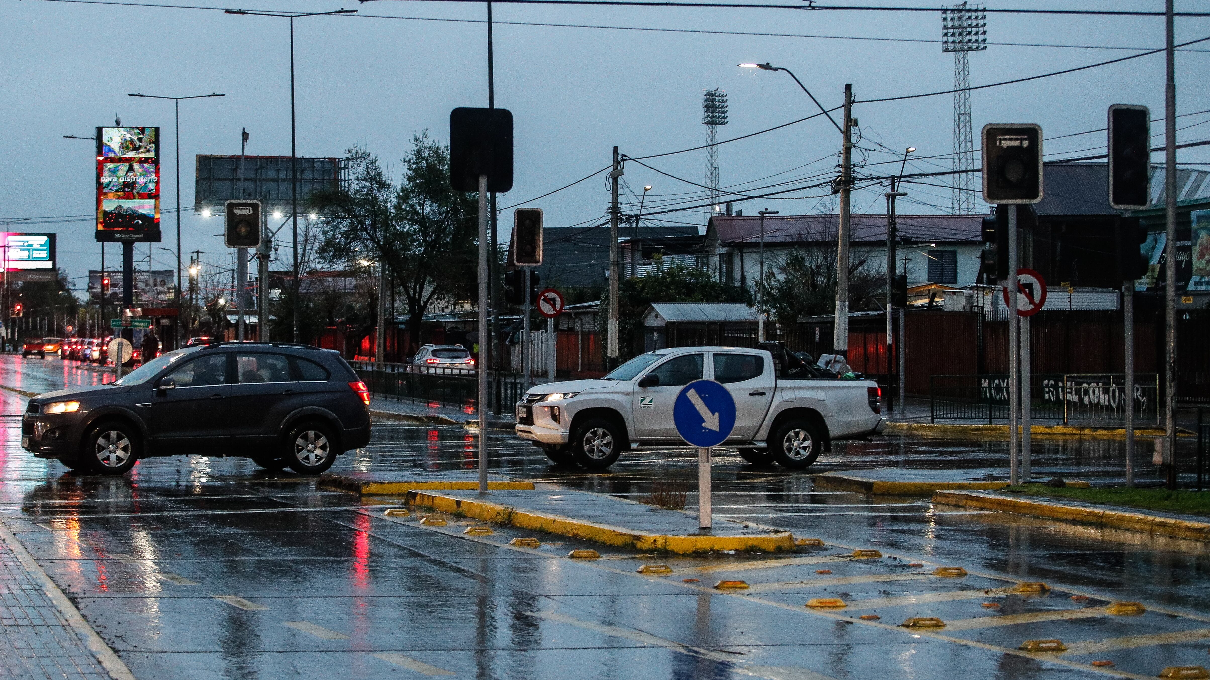 Caída de árboles en la Región Metropolitana.