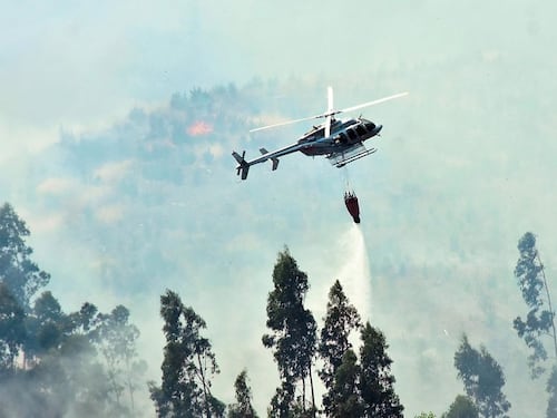Alerta roja en Ancud: incendio forestal consume 250 hectáreas de vegetación