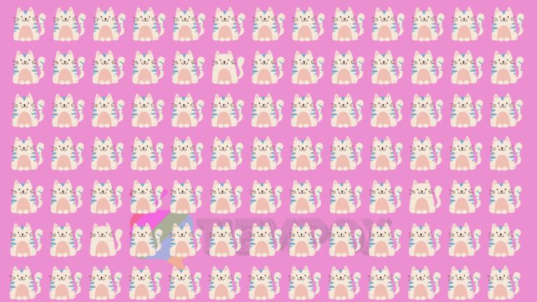 Encuentra los tres gatos distintos.