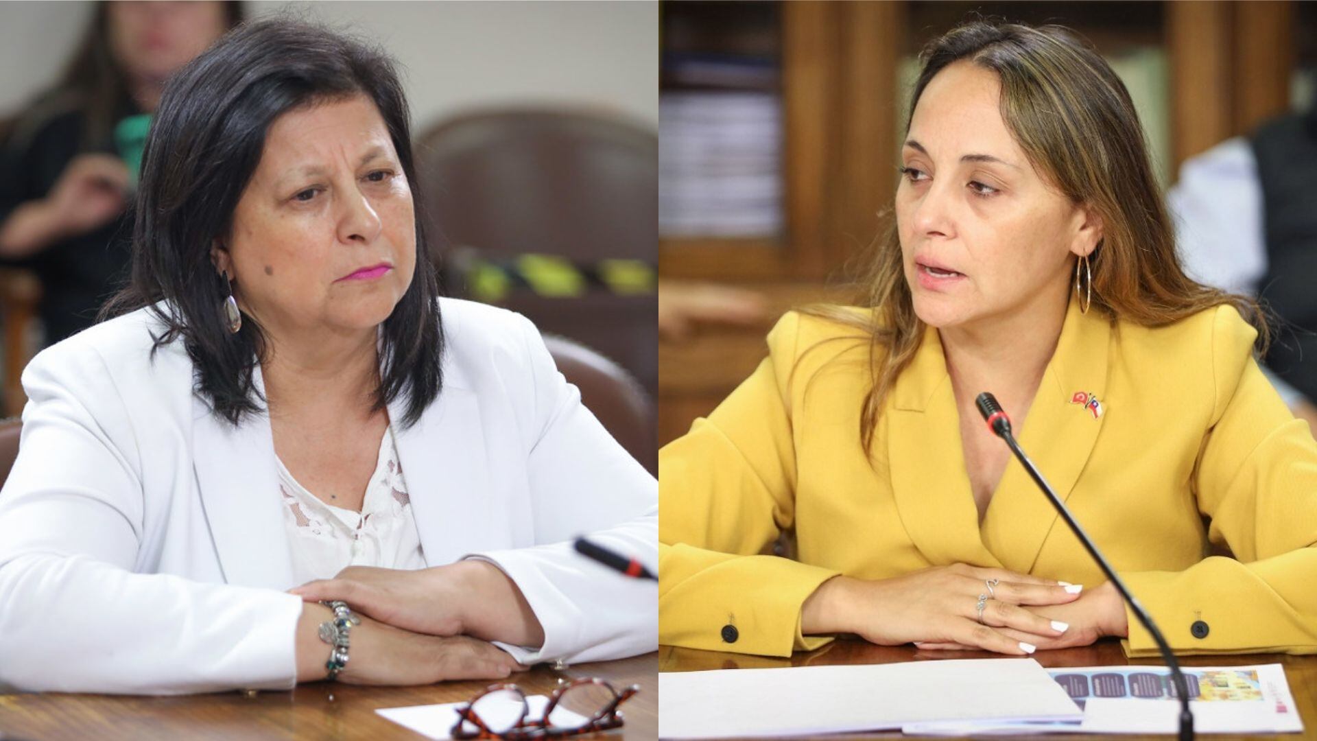 Diputadas Carla Morales y Marcia Raphael