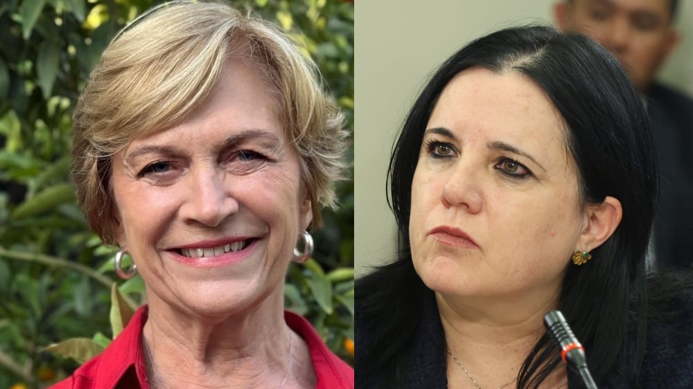 Evelyn Matthei arremetió contra Trinidad Steinert por su rol en Seguridad