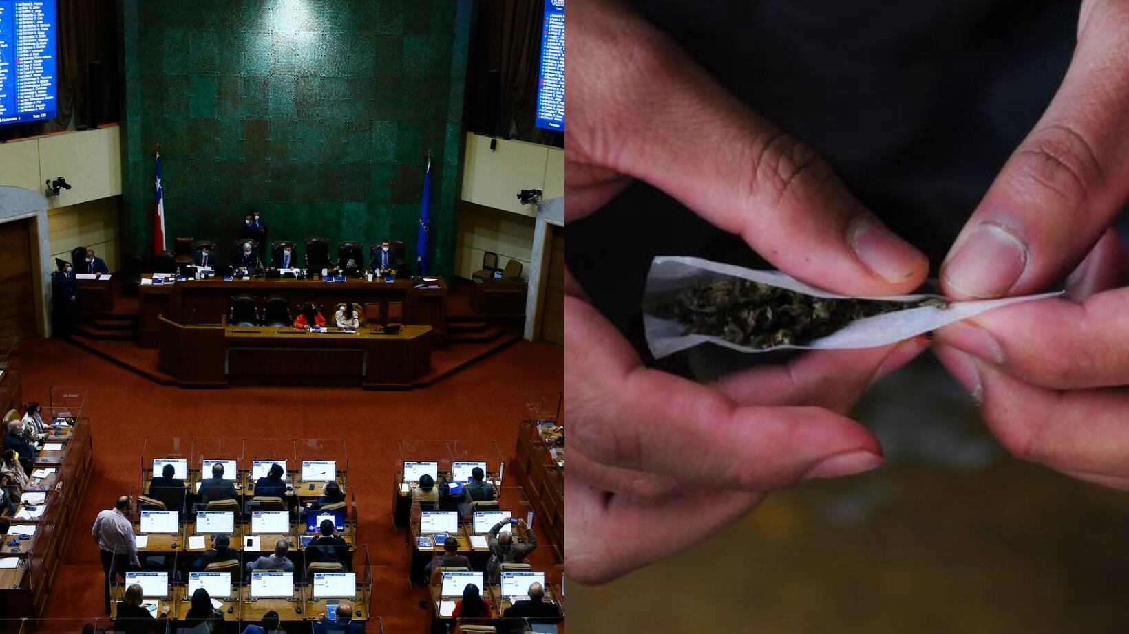 La prueba será realizada a los 155 diputados de Chile.