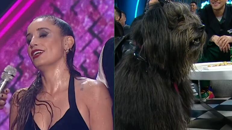 Dani Castro y Chalota