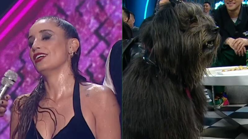 Dani Castro defiende llevar a su perrita Chalota a ‘Fiebre de Baile’: “Ha rejuvenecido”